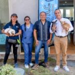 Hayan restos humanos en autopista México-Tuxpan