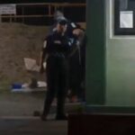 Mario Riestra propone 10 parques caninos para la ciudad de Puebla