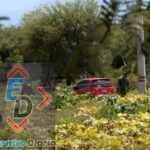 Gobierno municipal de Puebla recauda 36 mil pesos diarios por residuos de otros municipios
