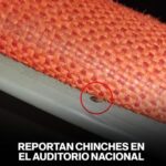 Identifican a seis de los siete calcinados en Xonacatepec; familias exigen justicia