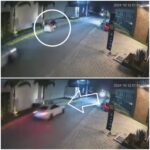 Camioneta se estrella contra taquería en Tecamachalco; conductora resulta ilesa