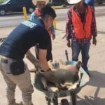 Recuperan en Huejotzingo vehículo de transporte de agroquímicos tras asalto armado