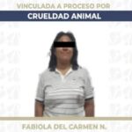 Detienen a dos policías de la SSC de Puebla por presunto robo a casa habitación en Galaxia La Calera