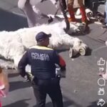 Acusan al presidente auxiliar de Tepontla de incitar violencia tras resultados de plebiscitos