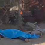 Colapsa caballo usado en calandria para quinceañera en Atlixco; denuncian maltrato animal