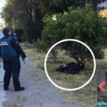 Hallan hombre sin vida y con huellas de tortura en Izúcar de Matamoros