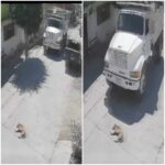Hallan dos cuerpos sin vida y con impactos de bala en la carretera Tehuacán-Orizaba