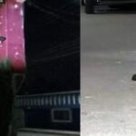 Brutal asesinato de migrante y su esposa estadounidense en Tlapacoya
