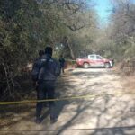 Participa y gana pases para Africam Safari en el «Verde Navidad» y «Reciclatón» de San Pedro Cholula