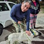 Tonantzin Fernández y su gabinete  atendieron a cientos de cholultecas en el «Día Ciudadano