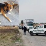 Encabezó Armando Aguirre reunión a favor del bienestar animal en Coronango