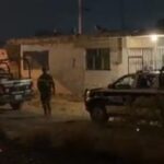 “Bingo”, el héroe canino que atrapó a un ladrón en Coronango