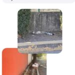 Hallan cadáver dentro de un pozo en Juan C. Bonilla