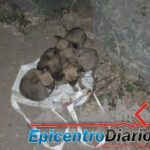 Motociclista es detenido por llevar una bolsa de cemitas en San Andrés Cholula