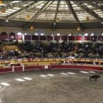 Choque entre tractocamiones en la Puebla-Orizaba deja un operador sin vida