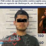 Atacan a balazos a una perrita en Tehuacán; dueños exigen justicia