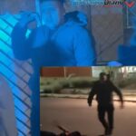 Activistas de Tehuacán emiten denuncian tras aumento de maltrato animal