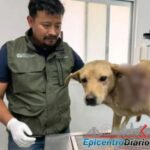 Identifican a presunto agresor de abuelito en la colonia Constitución Mexicana