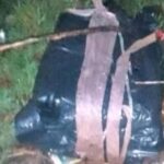 Hombre es arrollado por tren tras quedarse dormido en las vías en San Felipe Hueyotlipan