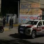 Indignación en la colonia 3 de Mayo por muerte de perros presuntamente envenenados
