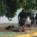 Desmantelan bodega vinculada al robo de vehículos en Atlixco; hay seis detenidos