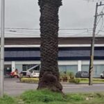 Gobierno de Pepe Chedrahui revela que infiltración de presuntos «polinarcos» en la SSC de Puebla ocurrió en gestiones panistas