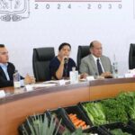 Autoridades investigan ataque armado en la colonia Del Valle; el vehículo implicado pertenece a exdiputada Tania N.