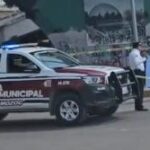 Tigre escapa de zoológico en Xicotepec tras fuertes lluvias; autoridades piden extremar precauciones