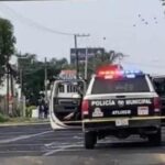 Investigan presencia de un cachorro de león en fiesta privada de Polanco