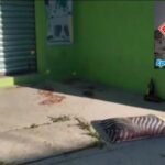 En CDMX adolescente le dispara a su madre tras castigarle su teléfono celular por andar de borracho