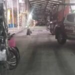 Comunidad de San Gabriel Chilac despide a artesanos fallecidos en accidente tras intento de asalto