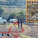 Joven asesinado a tiros en fraccionamiento Los Héroes, tenía antecedentes por narcomenudeo
