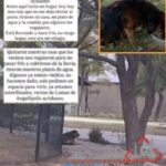 Francisco Sánchez rechaza tener vínculos con el crimen tras vídeo difundido de la «Operativa Barredora»