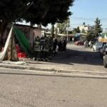 Gana pases 2×1 en Africam Safari reciclando tu árbol de navidad