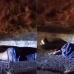 Localizan sin vida a joven reportado como desaparecido en Puebla; su familia pide justicia