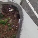 Delincuentes vacían negocio en la prolongación de la 2 Sur de Puebla capital; piden ayuda para localizarlos