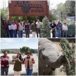 Por violencia familiar detienen a Kuri Carballo exdirigente del Partido Verde