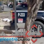 «No me arrepiento ni dejaré mi estilo de subir vídeos a redes sociales», responde Nay Salvatori a dirigencia de Morena