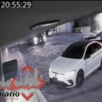 Mario Riestra denuncia haber sido víctima de intento de asalto por patrulla fake en la Puebla-Veracruz