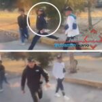Evidencian a sujeto por presuntamente golpear a perros con un bat en zona de Los Fuertes