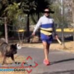 Camioneta queda destrozada tras fuerte choque en la México-Puebla