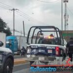 Dos personas lesionadas y un caballo sin vida tras incendio de vehículo en la Cuacnopalan-Oaxaca
