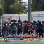 Solo 97 árboles serán intervenidos tras proyecto del Cablebús en Puebla