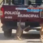 Alejandro Armenta analiza retomar revisión de mochilas ante amenazas en escuelas de Puebla