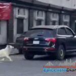 Mujeres protagonizan riña momentos antes de la presentación del Grupo Palomo en Cuautlancingo