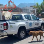 Continúa búsqueda de joven desaparecido tras asalto en clinica del IMSS de Amalucan
