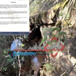 Alejandro Armenta garantiza más seguridad y atención para viajeros nacionales e internacionales a Puebla