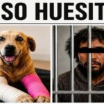 Ataque armado en Tepanco de López deja dos muertos y un herido; responsables logran escapar