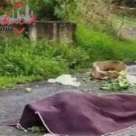 Con engaños delincuentes logran vaciar cuenta bancaria de una pareja en San Pedro Cholula