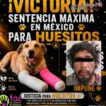 Nuevo asalto a cuentahabiente en Puebla; delincuentes se llevan más de 80 mil pesos en inmediaciones de Plaza Loreto